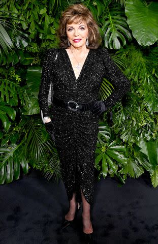 <p>Jon Kopaloff/WireImage</p> Joan Collins