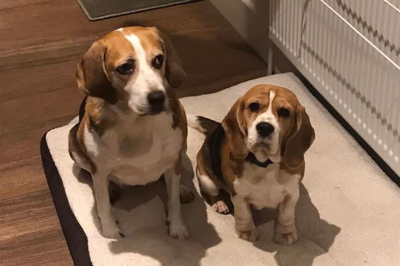 Little Annie with her sister Bella, 10