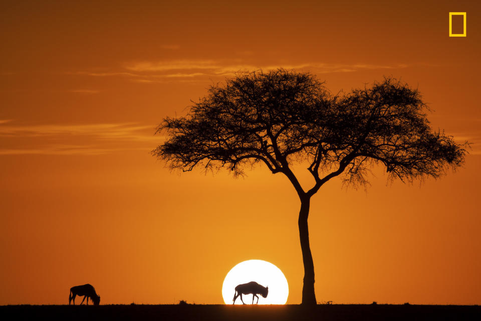 Sunrise of Maasia Mara 