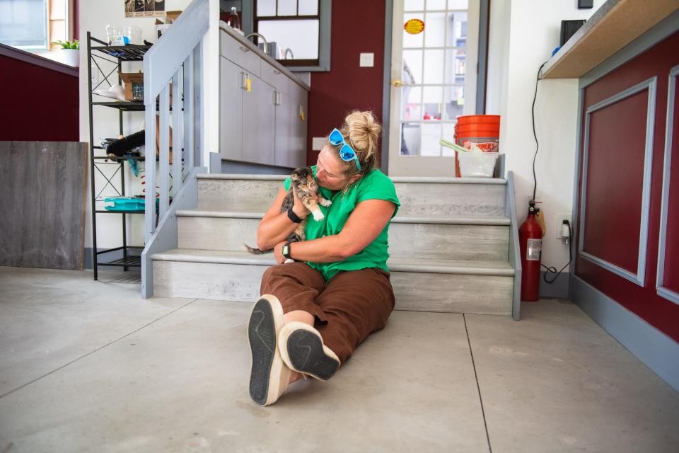 Unicorn, or Charlie, a very rare male calico kitten, is held by his new owner, Kate Crandall, at NoCo Kitties' Meow Mansion in Loveland on Friday. Unicorn and his new adoptive brother, Cooper, were adopted into a permanent home on Friday.