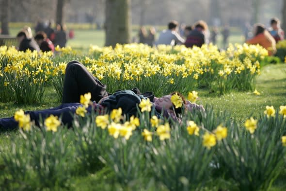 uk-weather-forecast-spring-sunshine-heatwave