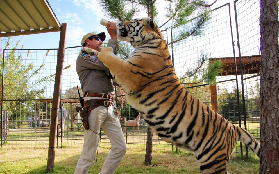 "Tiger King" told the story of private US zoos and their eccentric owners - NETFLIX 
