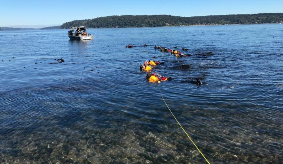 Investigators had ordered a trace on Kassanndra's cellphone to try to identify her last known location. The phone pinged about two miles south of a tower near Puget Sound. Based on that location, they believed her phone was likely somewhere in the water near Owen Beach in Tacoma's Point Defiance Park. The Pierce County Metro dive team went to the beach and formed a line and searched the area underwater.  / Credit: Pierce County Sheriff's Department