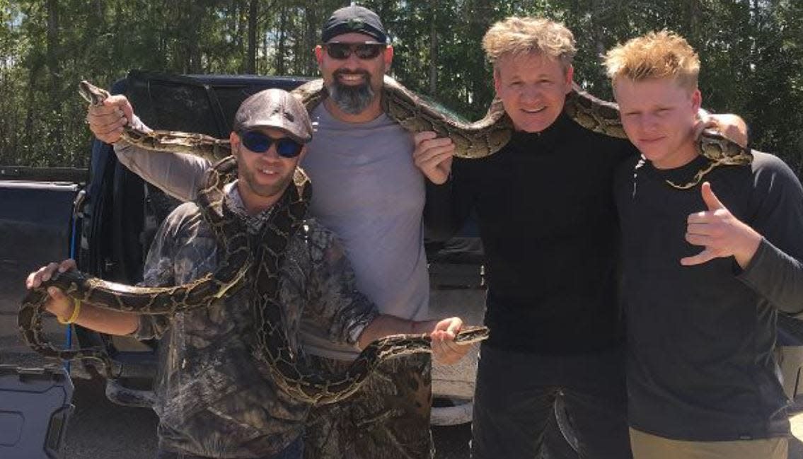 Celebrity chef Gordon Ramsay and his son, Jack, pose with SFWMD Python Hunter Kyle Penniston and Jason Catarineau and two of the three Burmese pythons they eliminated.