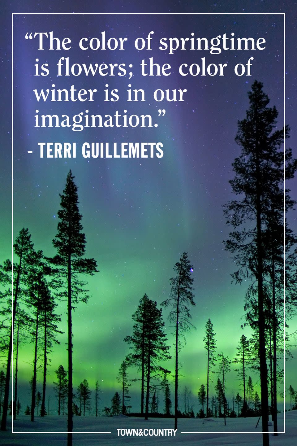 <p>"The color of springtime is flowers; the color of winter is in our imagination." </p><p><em>- Terri Guillemets</em><br></p>