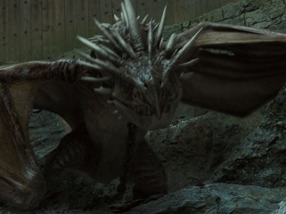 hungarian horntail dragon in harry potter and the goblet of fire