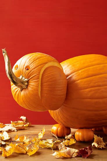 61) Elephant Pumpkin