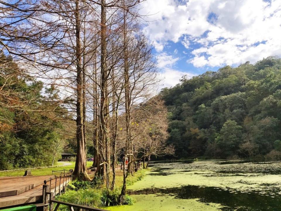 福山植物園風景優美。（中華旅行社提供）