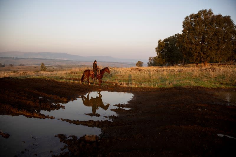 Droves by drone: Israeli cow-herders turn to flying tech to boost efficiency