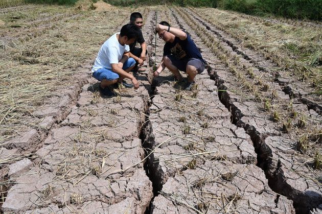 Farmers in China's Sichuan province in a parched field on Friday, Aug. 26. (Photo: VCG/VCG via Getty Images)