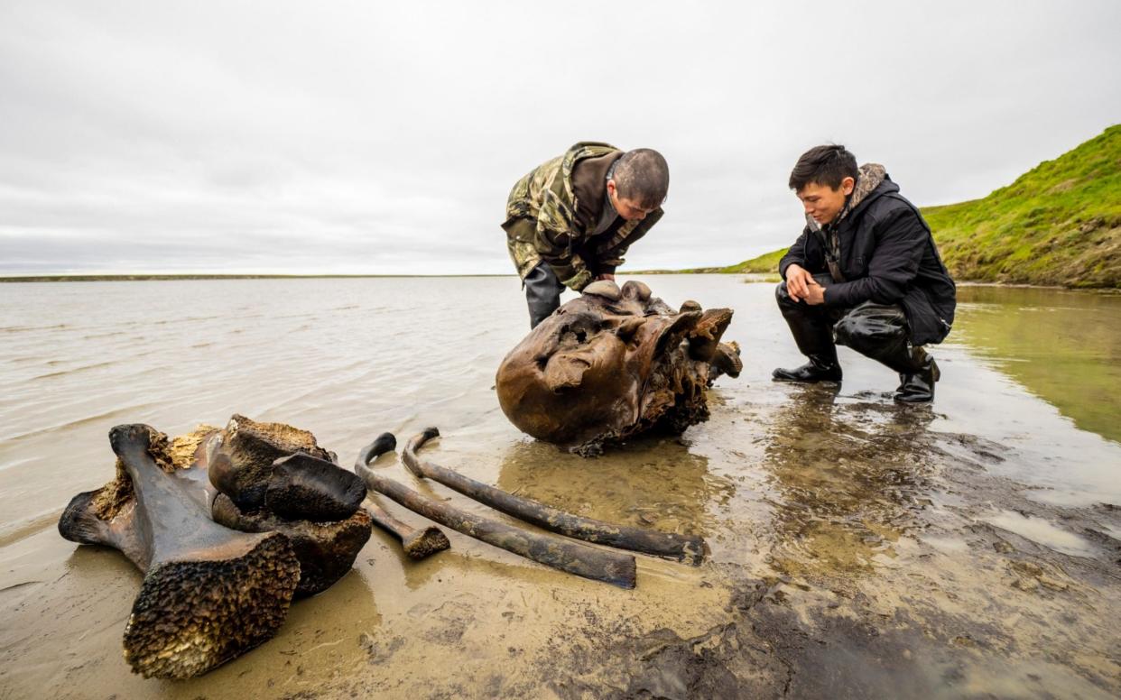 People study a mammoth bone fragment in the Pechevalavato Lake in the Yamalo-Nenets region, Russia - Artem Cheremisov 