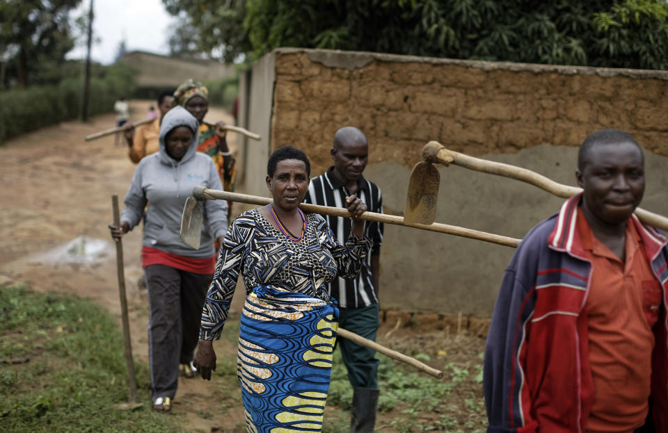 In this photo taken Thursday, April 4, 2019, genocide survivors and perpetrators walk to crop fields in the reconciliation village of Mbyo, near Nyamata, in Rwanda. Twenty-five years after the genocide the country has six "reconciliation villages" where convicted perpetrators who have been released from prison after publicly apologizing for their crimes live side by side with genocide survivors who have professed forgiveness. (AP Photo/Ben Curtis)