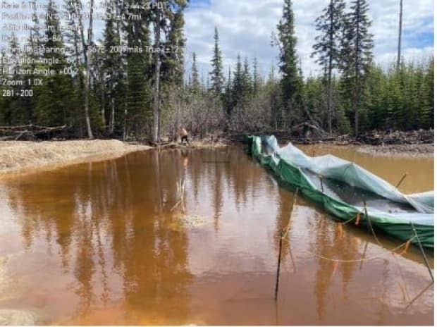 B.C. Environmental Assessment Office