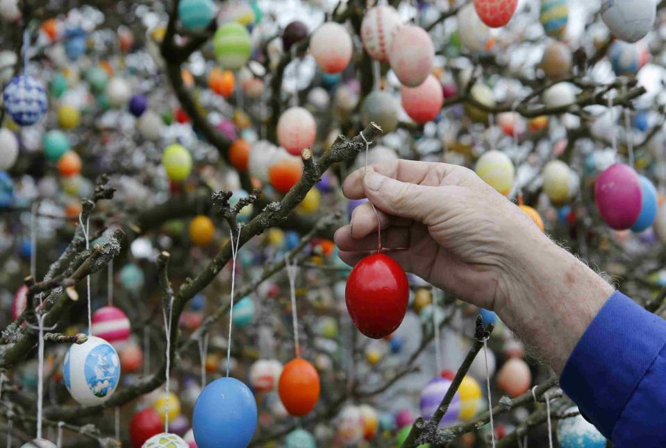 German pensioner Kraft decorates an apple tree with Easter eggs in the garden of his summerhouse in the eastern German town of Saalfeld