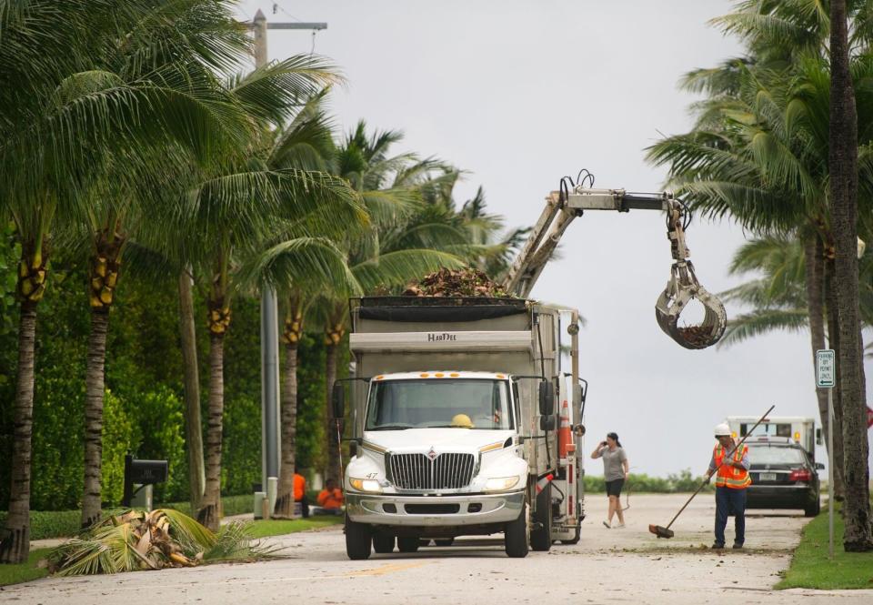 Palm Beach will lift its seasonal restrictions on yard trash collection beginning Wednesday.