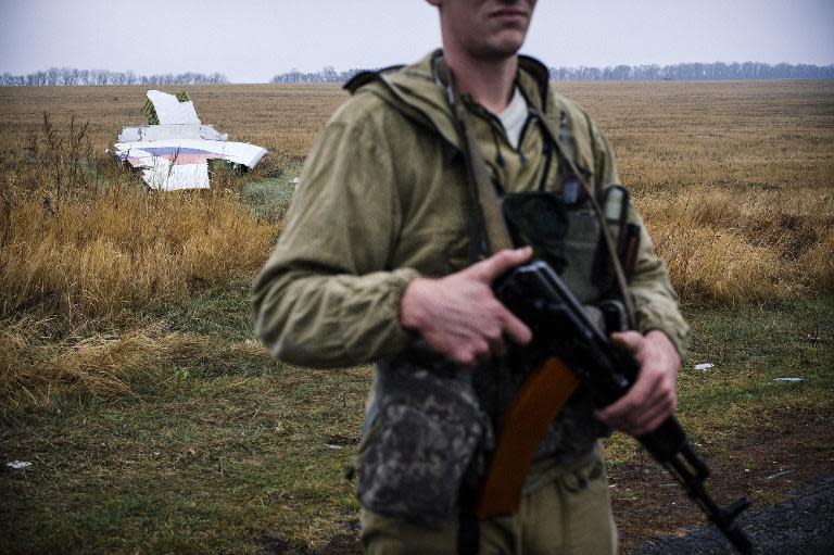 A pro-Russian gunman guards the wreckage of Malaysia Airlines Flight MH17 at the crash site near the eastern Ukrainian village of Hrabove (Grabovo), on November 10, 2014