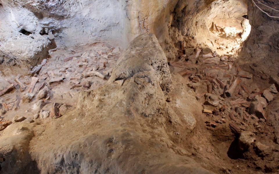 The fossil discoveries were hailed as 'extraordinary' by Italy's culture minister - Italian culture ministry