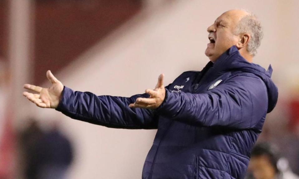 Luiz Felipe Scolari reacts during a game.