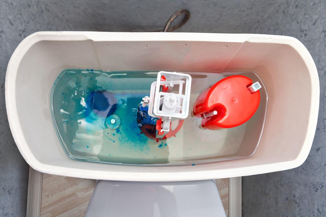 Automatic Toilet Cleaner