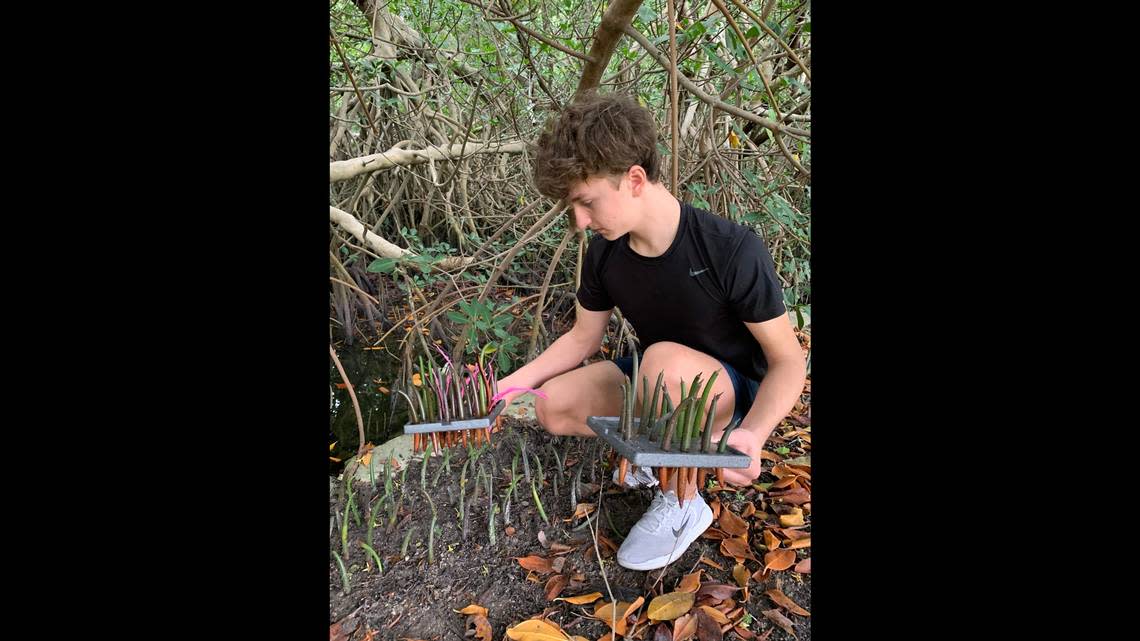 2022 Congressional Award Gold Medal winner Will Charouhis works on the project he created called “A Million Mangroves: Halting Climate Change One Root at a Time.” During the pandemic he restored more than six miles of mangrove roots along our shoreline to regenerate growth.