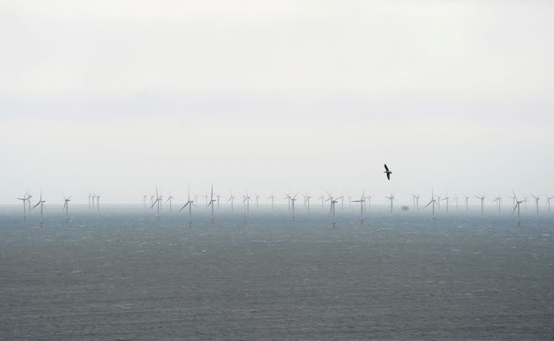 FILE PHOTO: Aftermath of Storm Ciara in North Wales