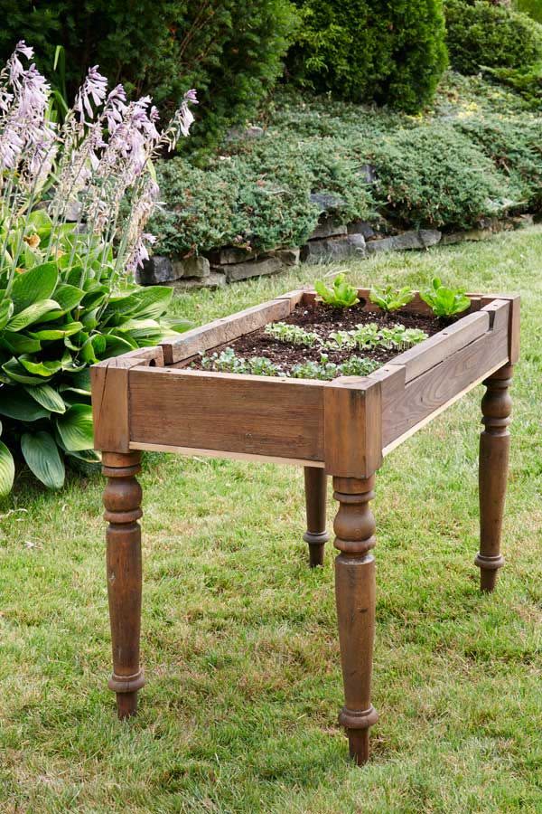 vintage table upcycled as a lettuce bed