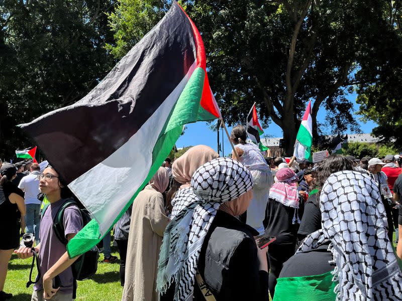 Pro-Palestinian rally in Sydney's Hyde Park