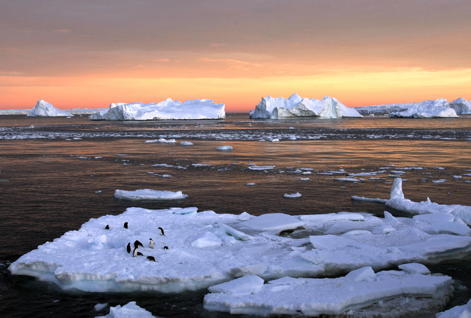 Adelie penguins stand atop ice near the French station at Dumont d’Urville in East Antarctica January 22, 2010. Russia and the Ukraine on November 1, 2013 again scuttled plans to create the world's largest ocean sanctuary in Antarctica, pristine waters rich in energy and species such as whales, penguins and vast stocks of fish, an environmentalist group said. The Commission for the Conservation of Antarctic Marine Living Resources wound up a week-long meeting in Hobart, Australia, considering proposals for two 