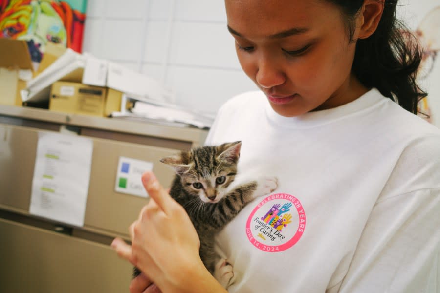 Graphic Designer Jiana Sy cuddled with tiny kitten Finnley (photo: Cristina Byrne, WHNT)