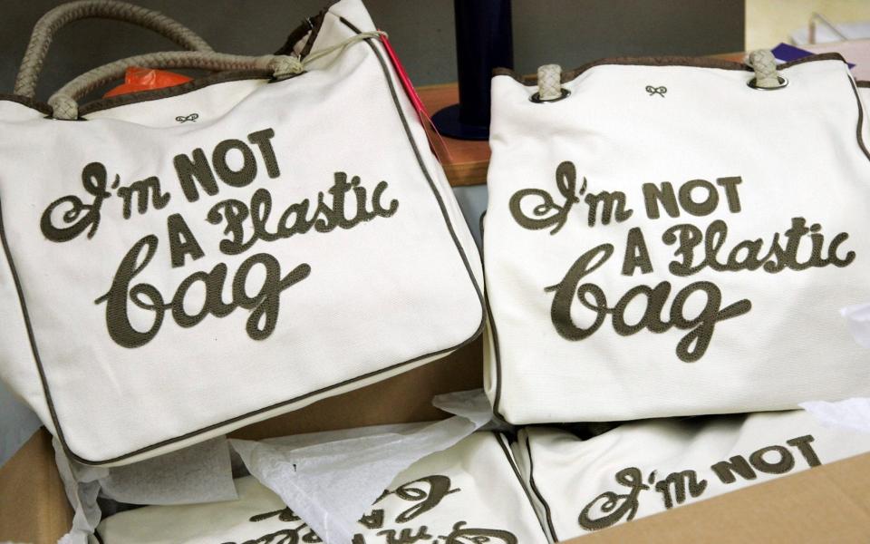 Hindmarch launched her cotton tote 'I’m Not A Plastic Bag' in 2007 - Gareth Cattermole 