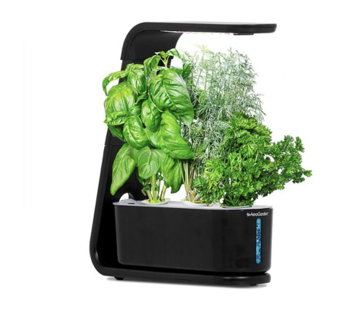 AeroGarden Sprout