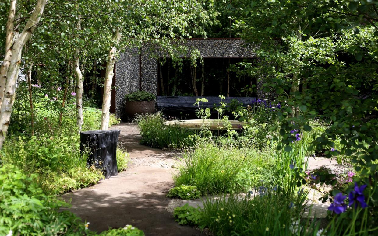 The garden includes 40 birch trees and is underplanted with woodland-edge style plants