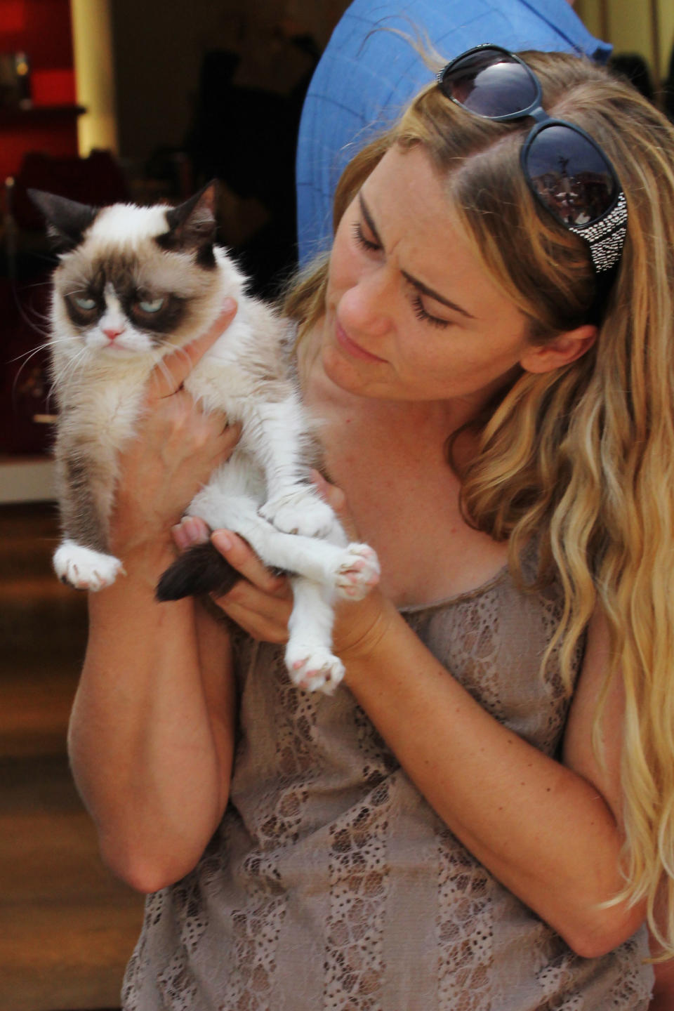 Grumpy Cat does not look impressed at her book signing in Los Angeles. (Credit: AKM-GSI)