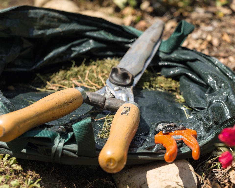 garden shears and secateurs with prunings