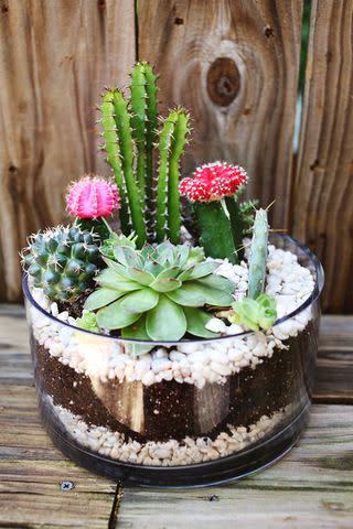 <p><a href="https://abeautifulmess.com/planting-a-simple-cacti-garden/" data-component="link" data-source="inlineLink" data-type="externalLink" data-ordinal="1">A Beautiful Mess</a></p>