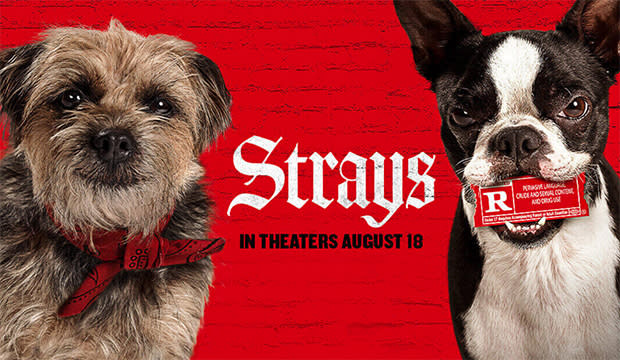 Strays