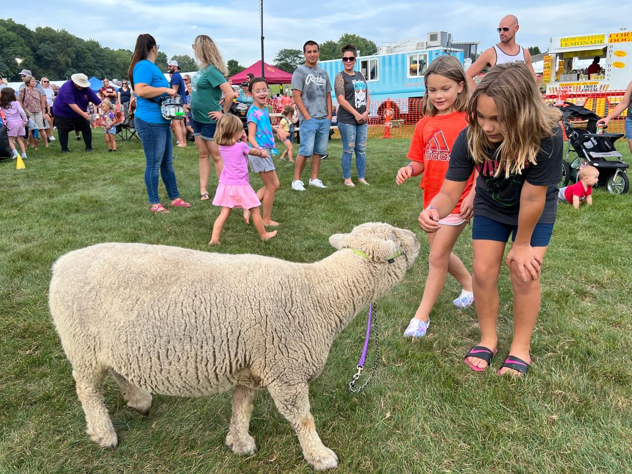 A petting zoo is one of the highlights at this year's Summer Sunset Blast in Stow.
