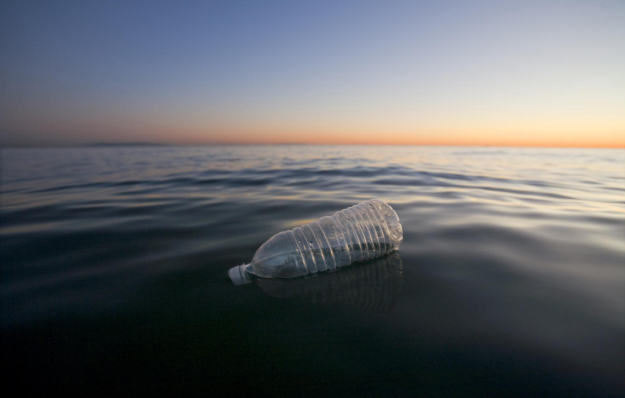 A plastic water bottle floats.