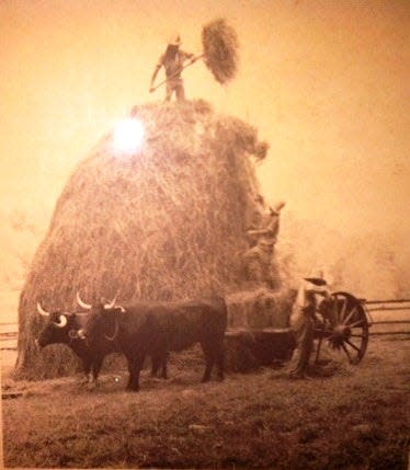 Ridge Shinn on top of a haystack at Old Sturbridge Village.