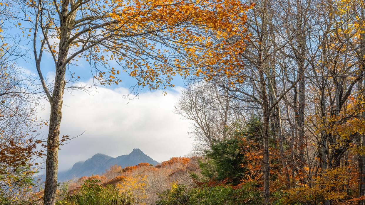 Grandfather Mountain, October 2023.