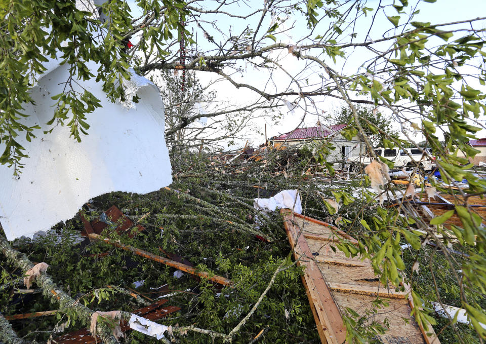 Insulation from a home hangs in a downed tree in Hamilton, Miss., after a deadly storm moved through the area Sunday, April 14, 2019. (AP Photo/Jim Lytle)