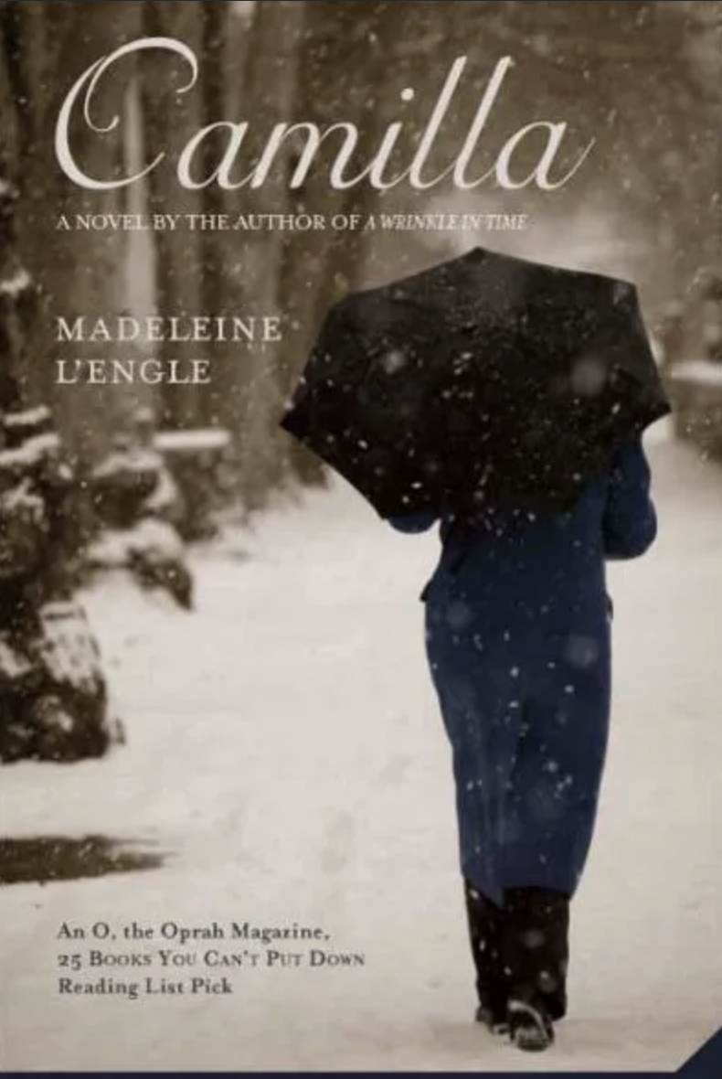 book cover with someone walking with an umbrella in the snow