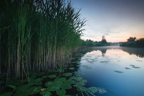 Soomaa National Park - Credit: ALAMY