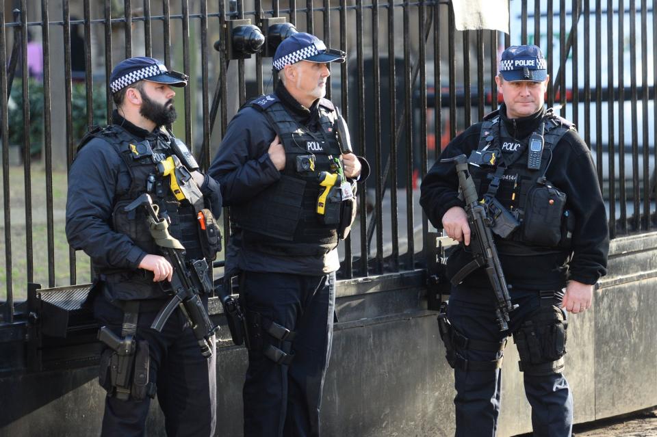 Armed police at the Palace of Westminster (PA)