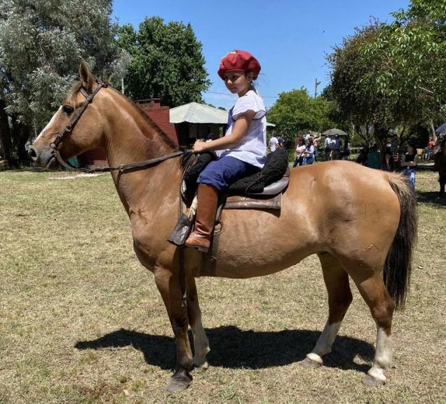 Construye un caballo de churro y cabalga como un auténtico jinete