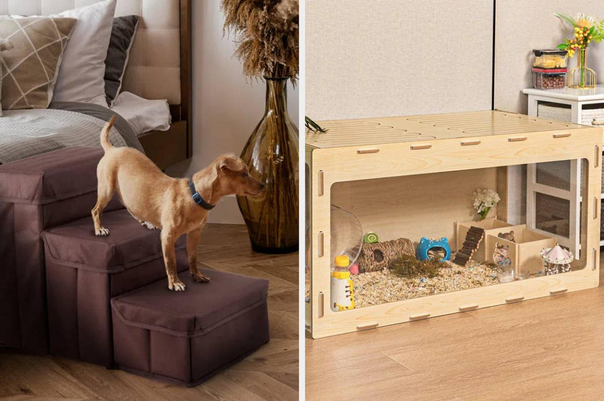 30 Pet Items From Wayfair That Will Blend In With Your Home Decor Perfectly