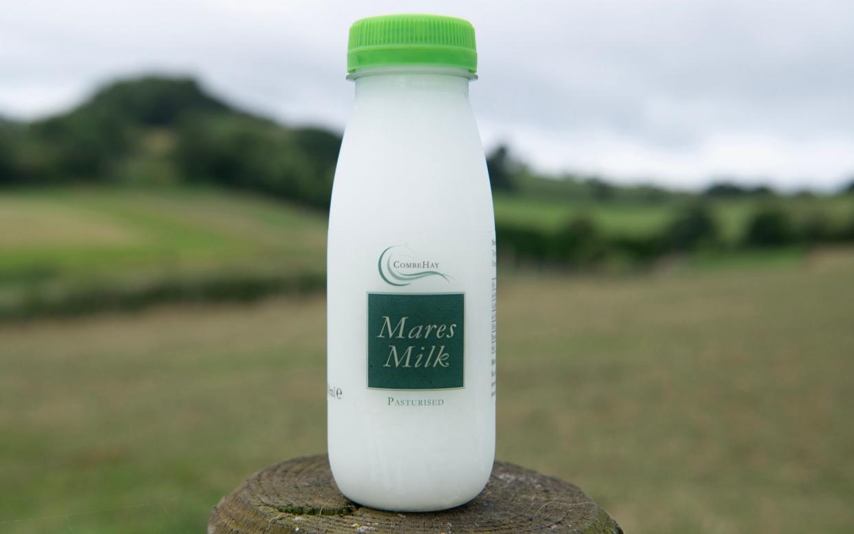 Mare's milk is approximately 15 times more expensive than ordinary cow's milk