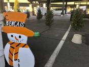 In this Saturday, Dec. 7, 2019 photo, a handful of Christmas trees for sale are shown at Sandy Parsons’ lot at the Capitol Market in Charleston, W.Va. Parsons never received her order of 350 trees this year from a North Carolina farm. Instead, she got some much-smaller trees, citing a short supply from the grower. (AP Photo/John Raby)