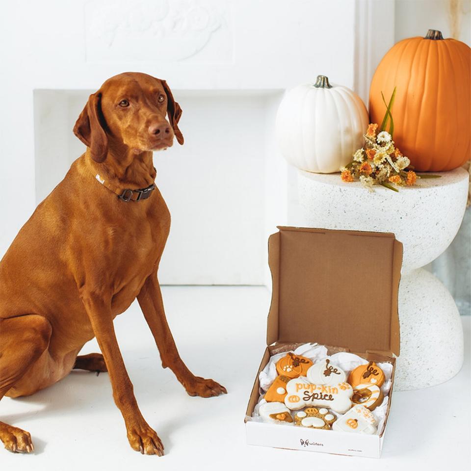 pumpkin spice dog treats