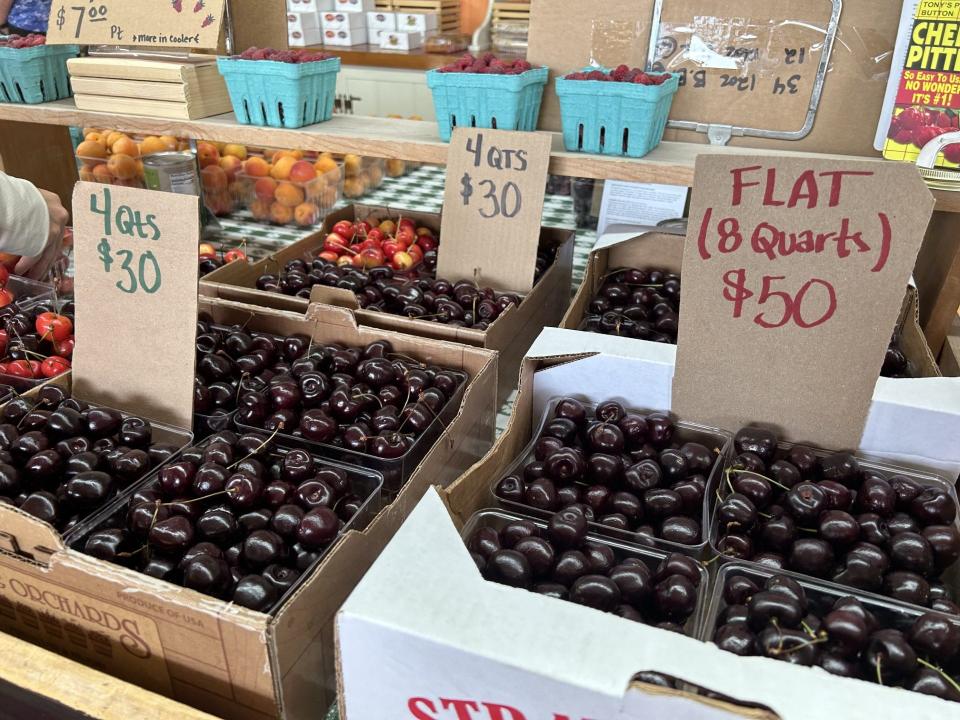 Freshly picked cherries